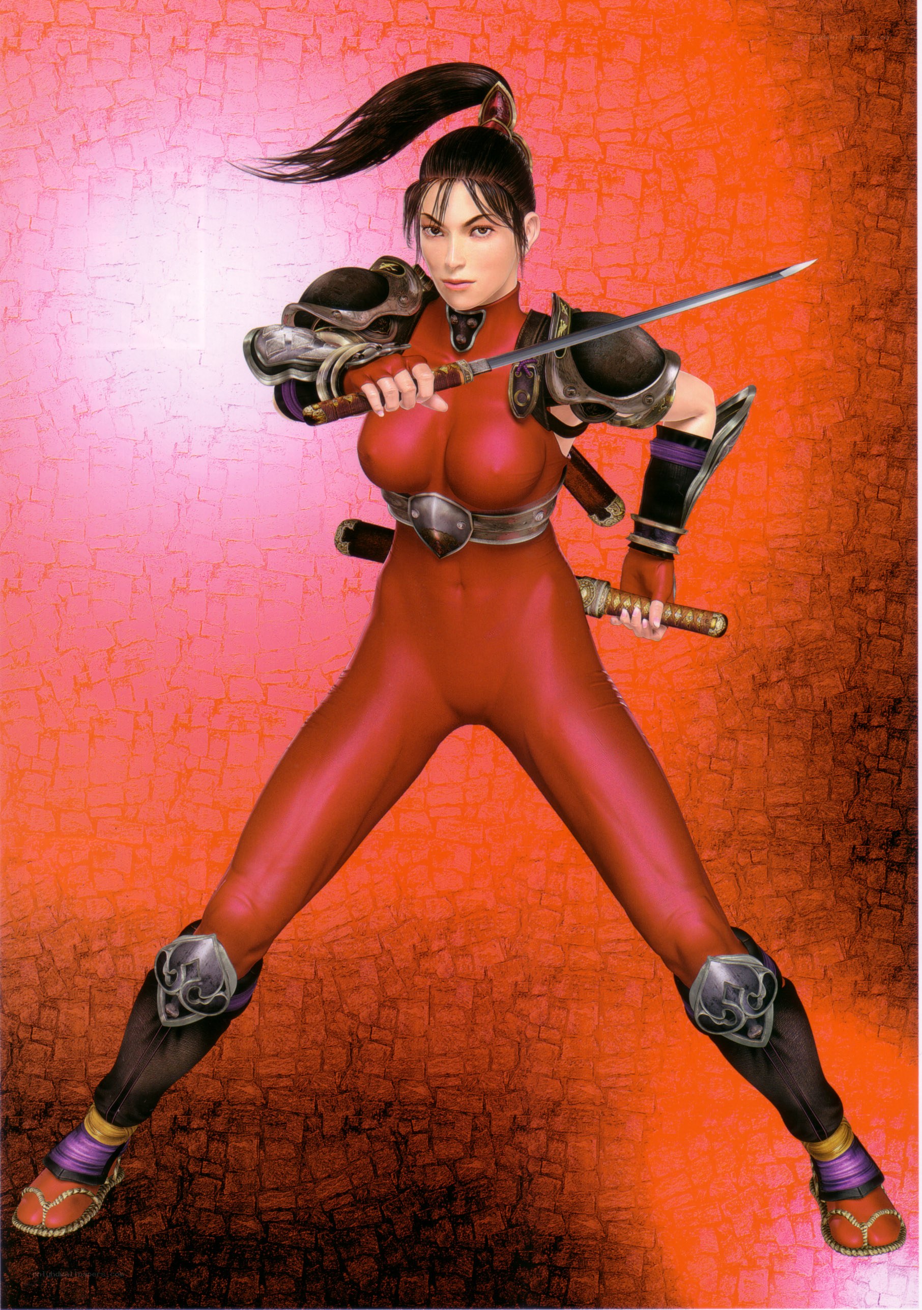 female warrior with swords