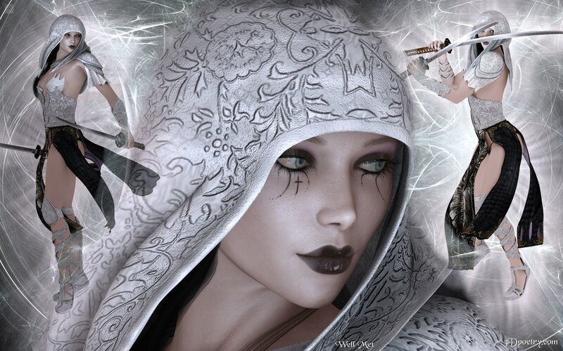 female warrior with swords