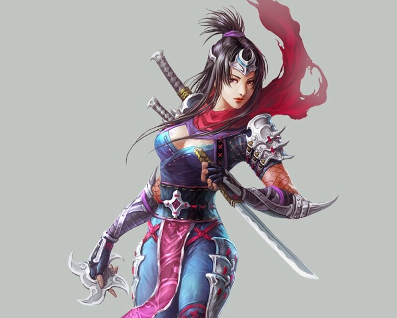 female warrior with swords