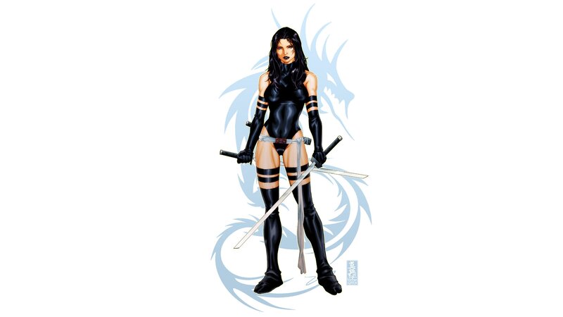 Female Warrior with Swords — Black, Confident, Comic
