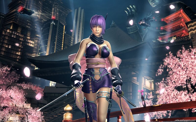 Female Warrior with Swords — Purple, Dramatic, Night, 3d Render