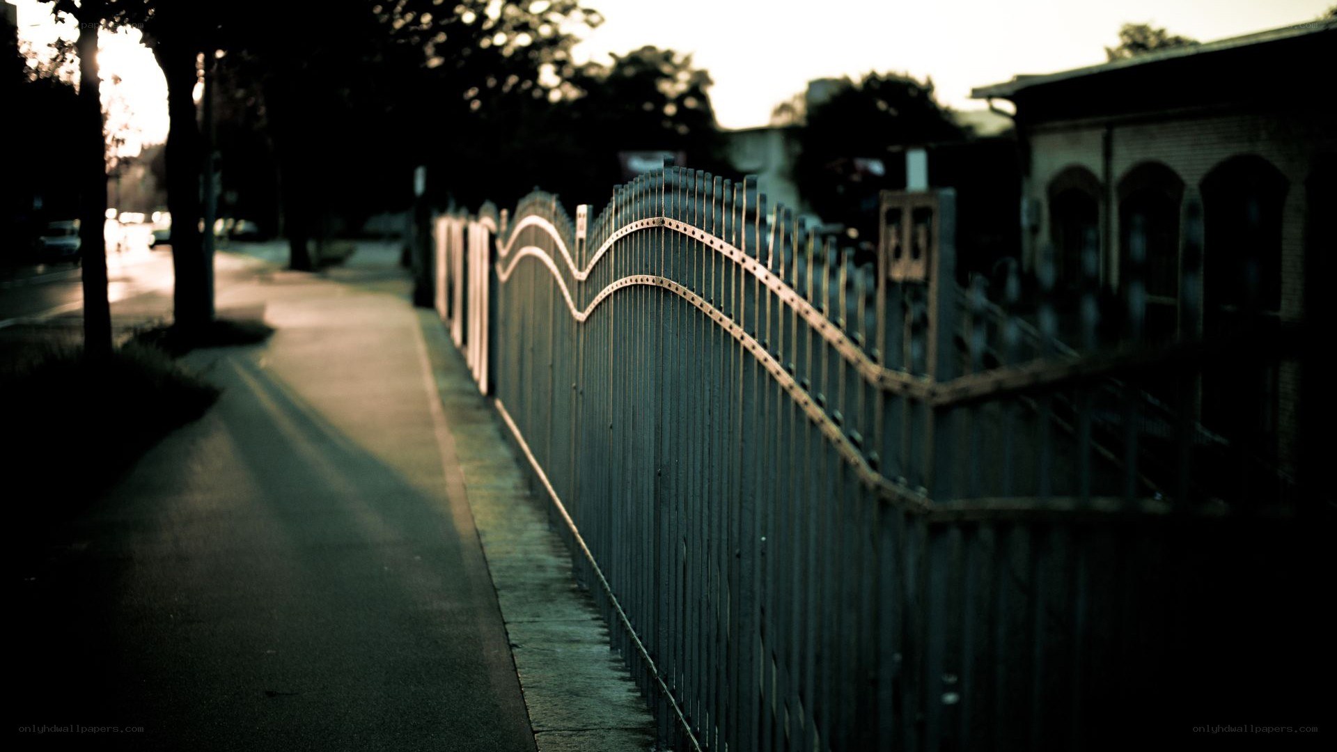 fence along a quiet sidewalk