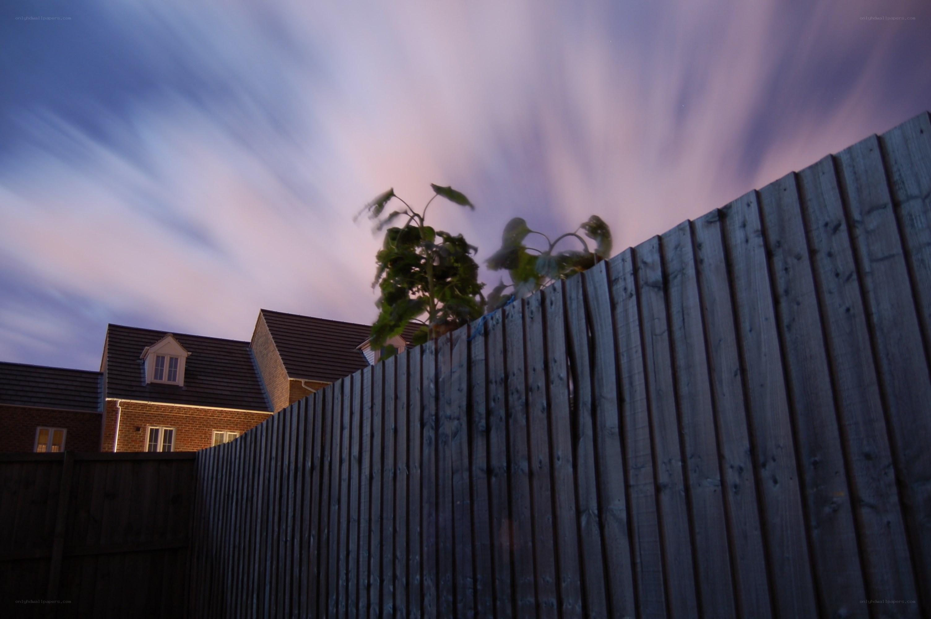 fence at dusk with motion-blurred sky