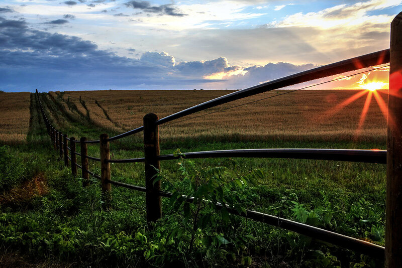 Fence in a Field