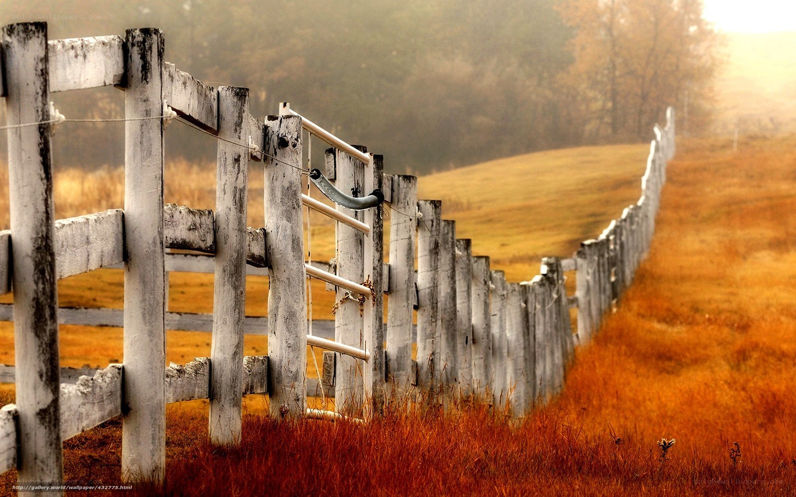Fence in a golden field