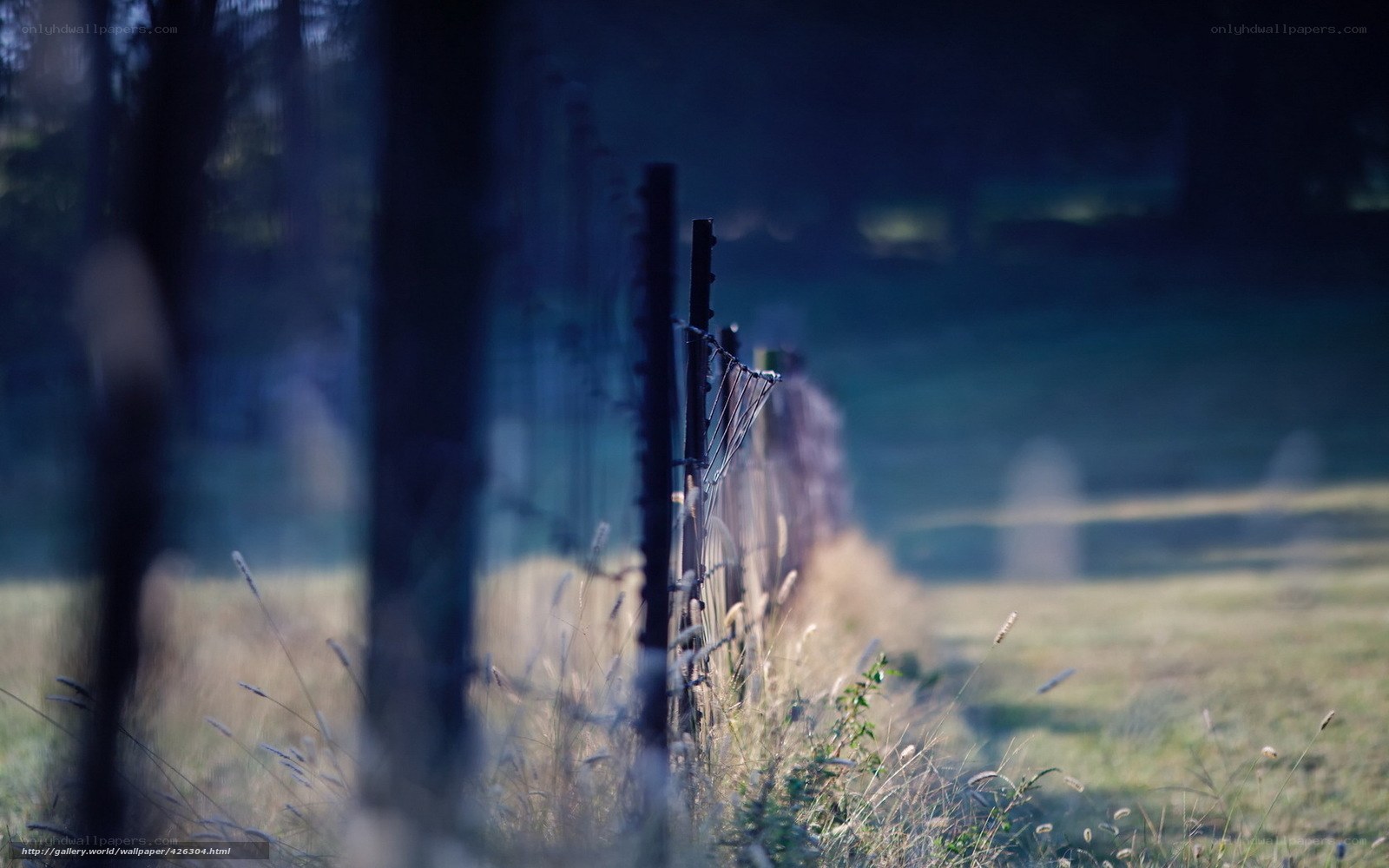 Fence in a misty field