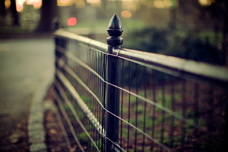 fence in a park at dusk