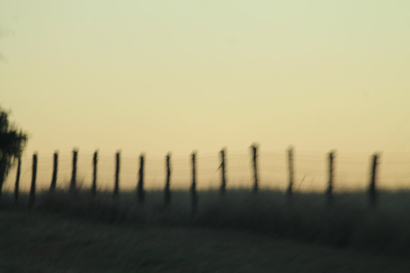 Fence in Field at Dusk