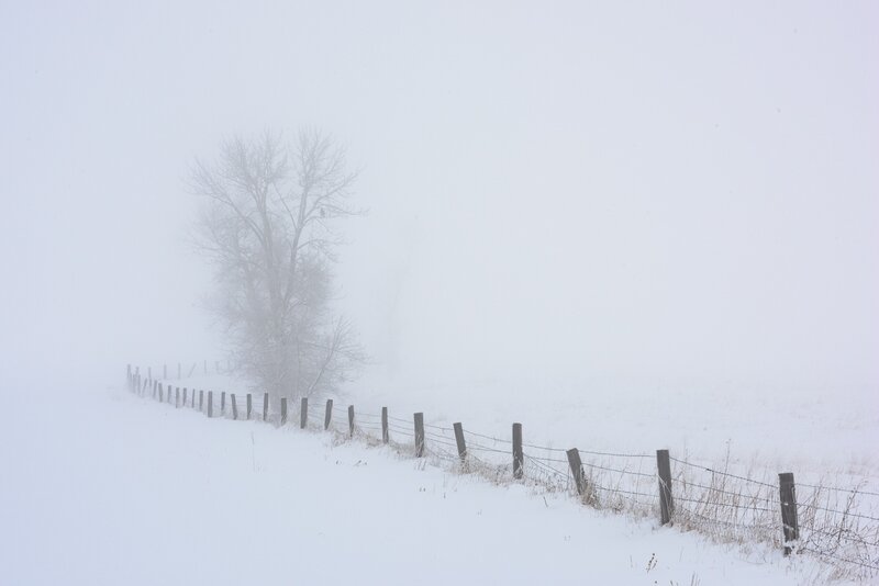 Fence in Snowy Field