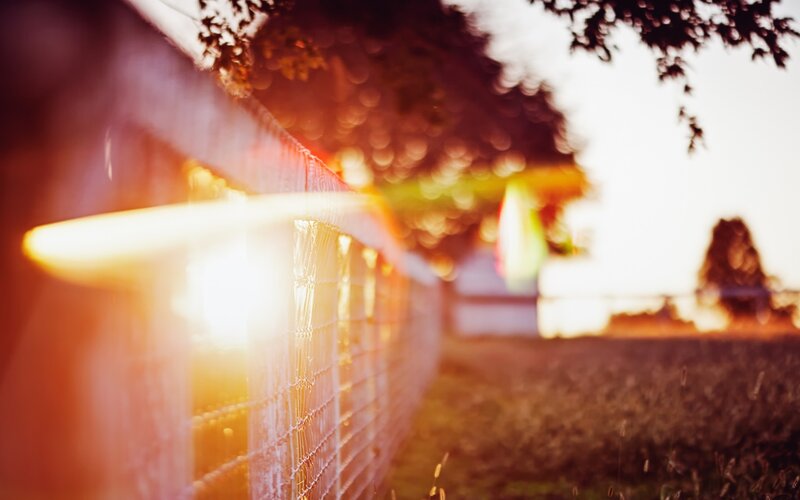 Fence in Sunlight — Orange