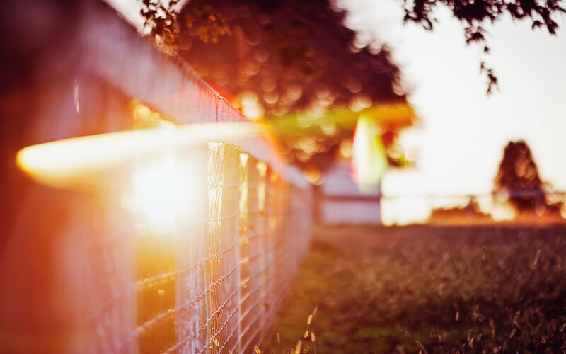 Fence in Sunlight