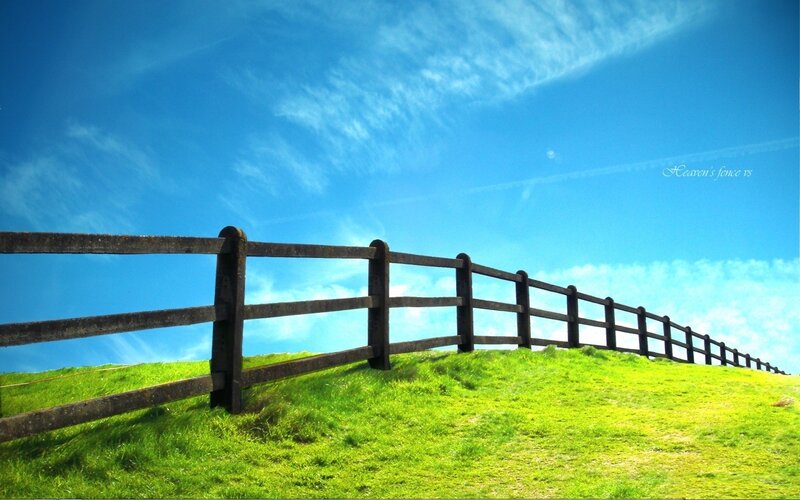 Fence on a green hill