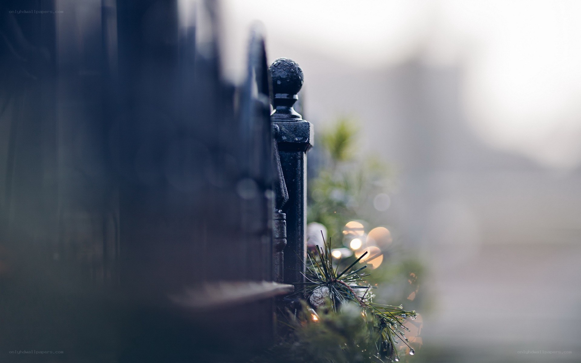 fence with holiday lights