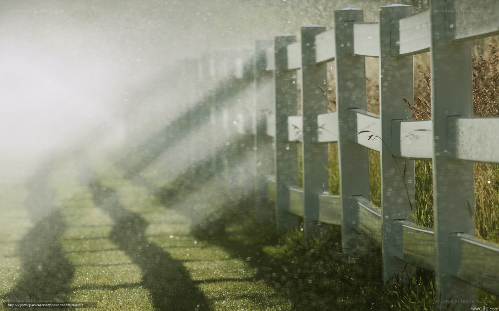 Fence with misty spray
