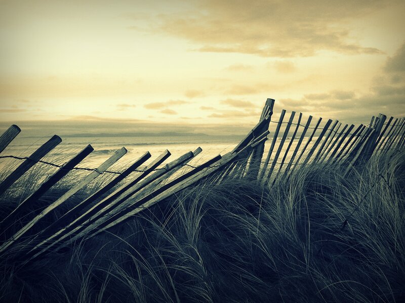 Fenced dune at sunset