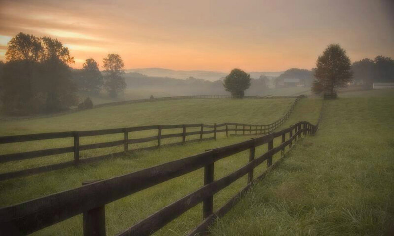 Fenced Field at Sunrise — Green