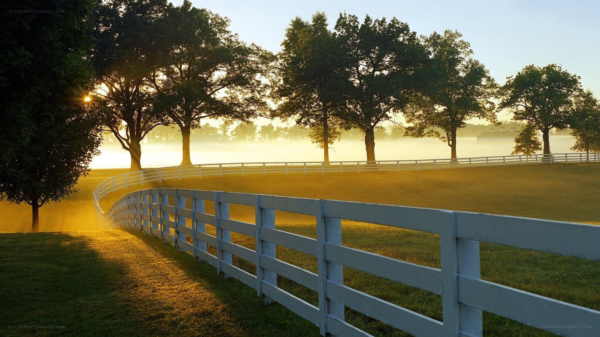 fenced field at sunrise