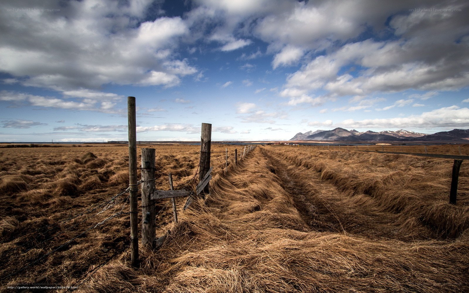 Fenced field with mountains