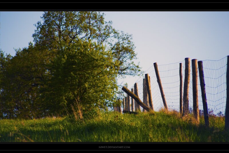 Fenced Hill at Sunset
