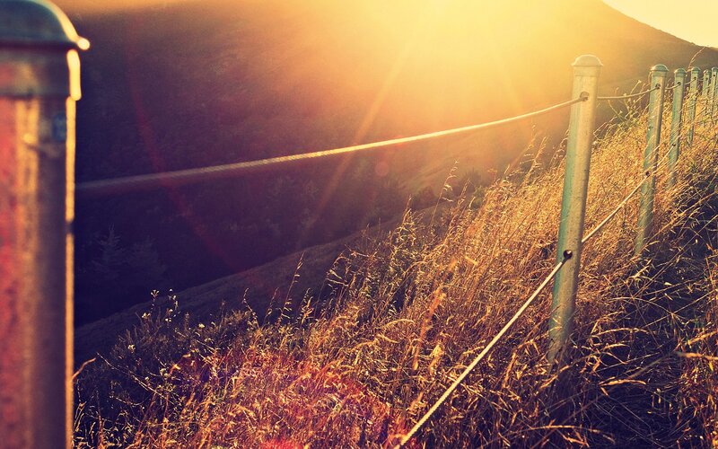 Fenced Hillside at Sunset