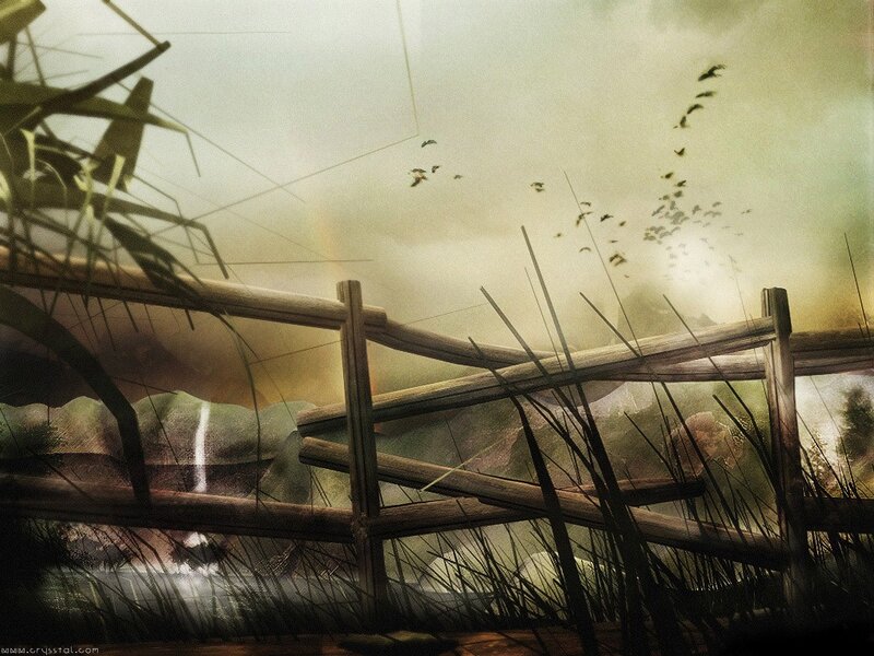 Fenced marsh at dusk