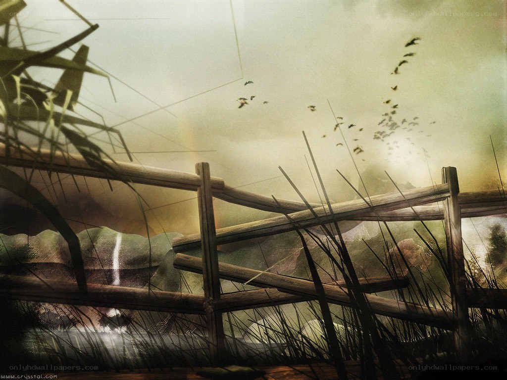Fenced marsh at dusk