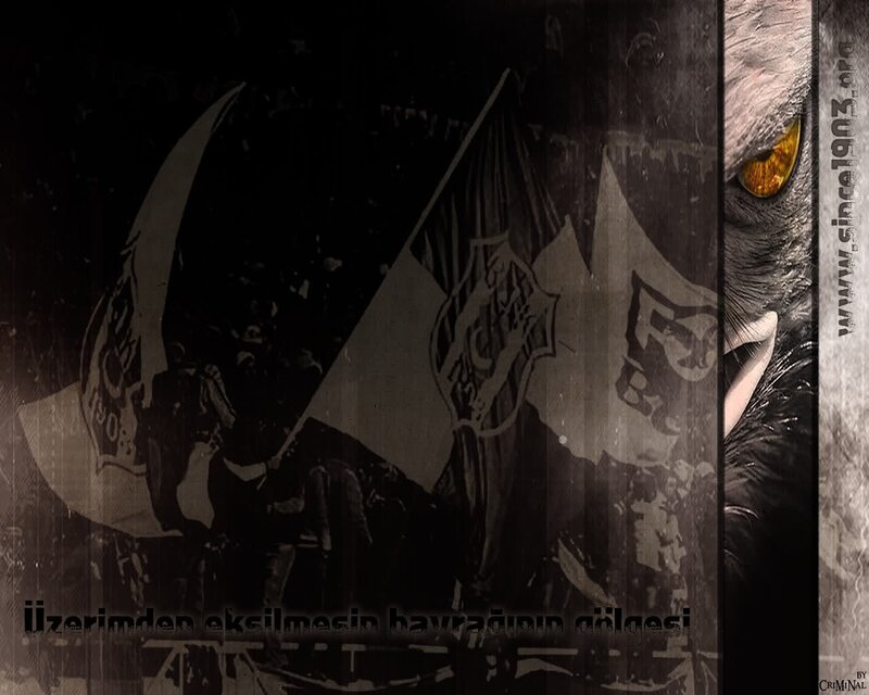Fenerbahçe fan art with owl