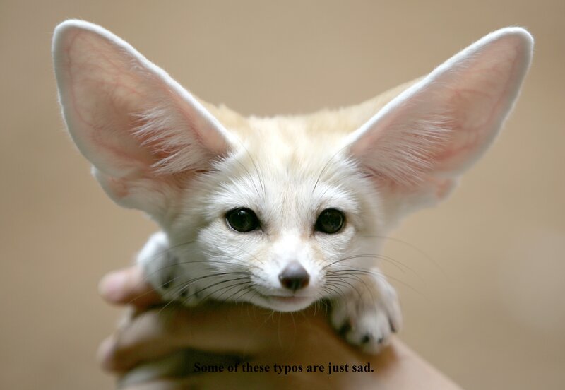 Fennec fox cub