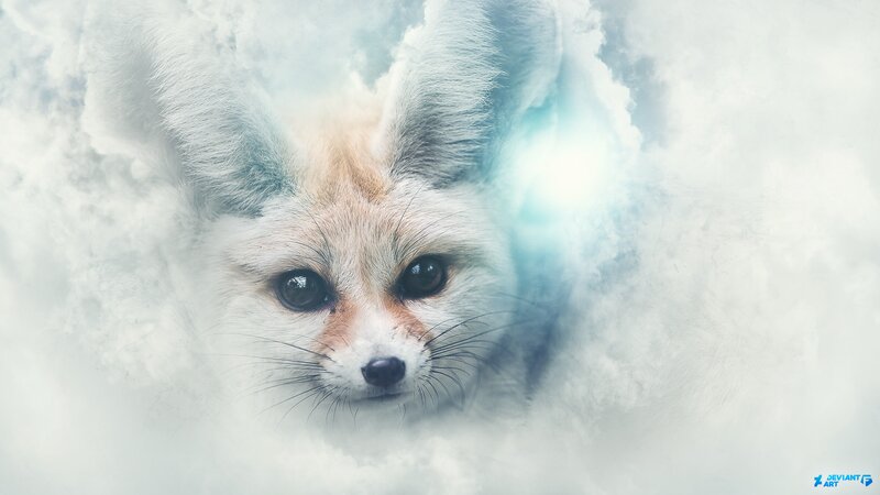 Fennec Fox in Clouds