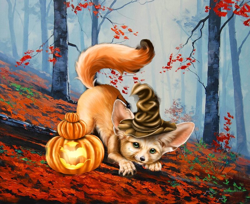 Fennec Fox in Forest