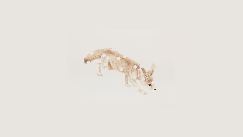fennec fox in motion