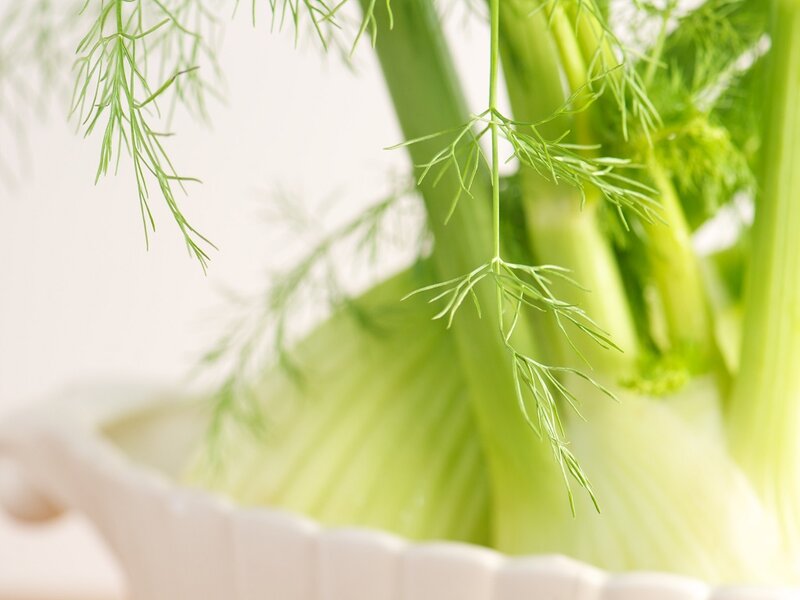 Fennel Stalks in Bowl