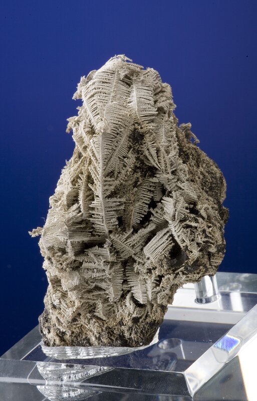 Fern-like mineral specimen