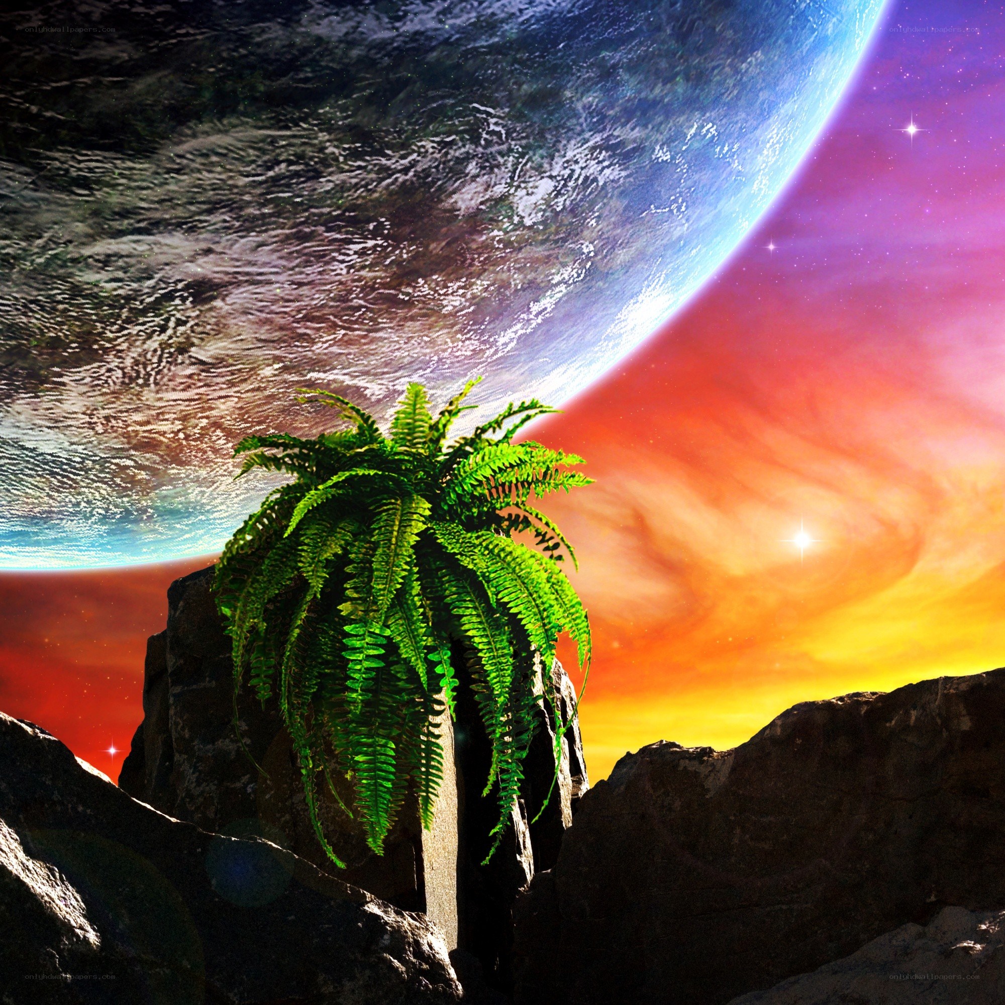 Fern on alien planet