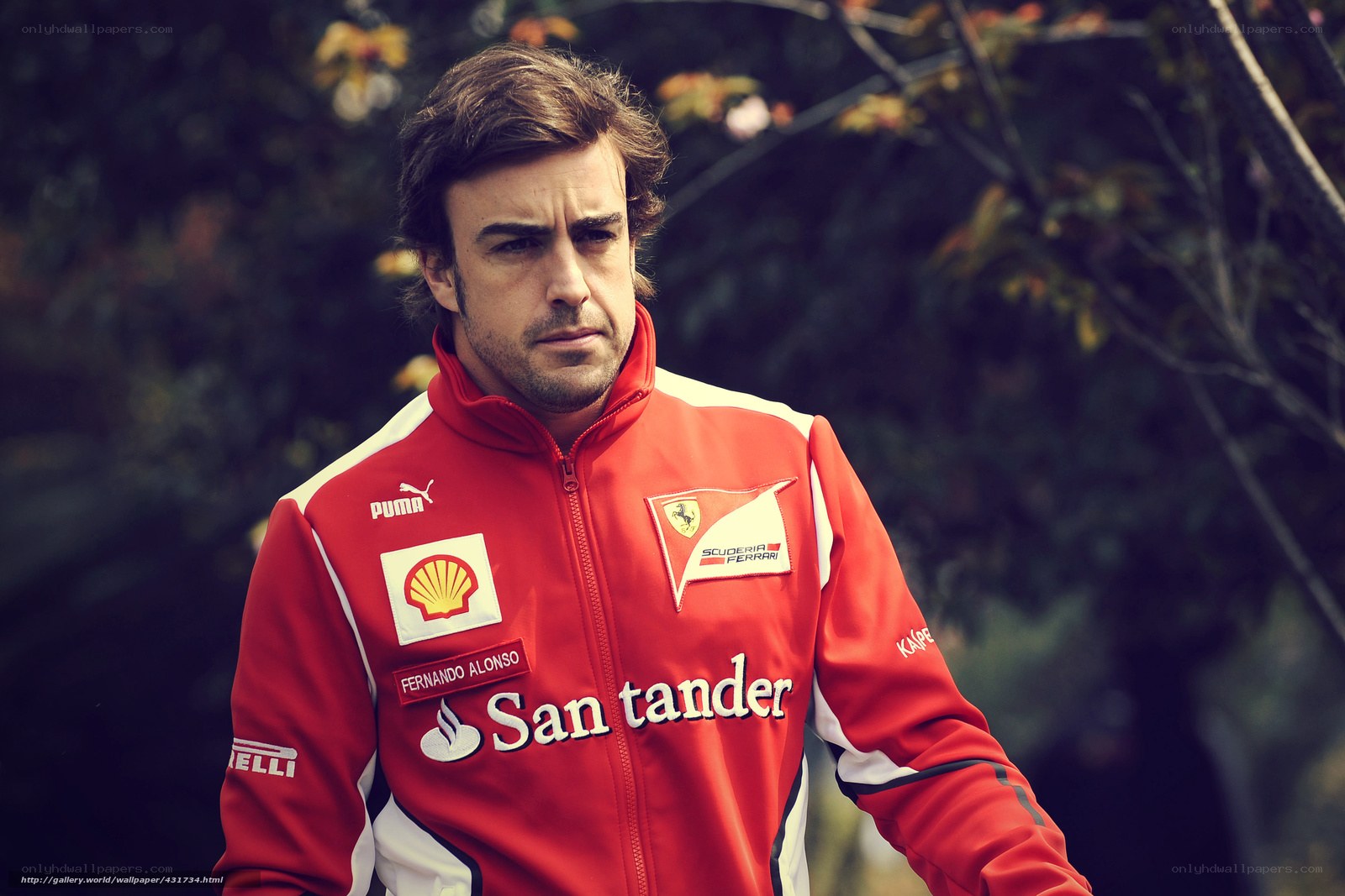 Fernando Alonso in Ferrari jacket