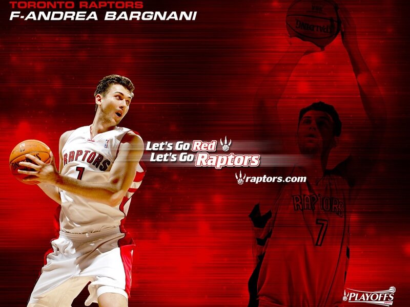 Fernando Bargnani Raptors