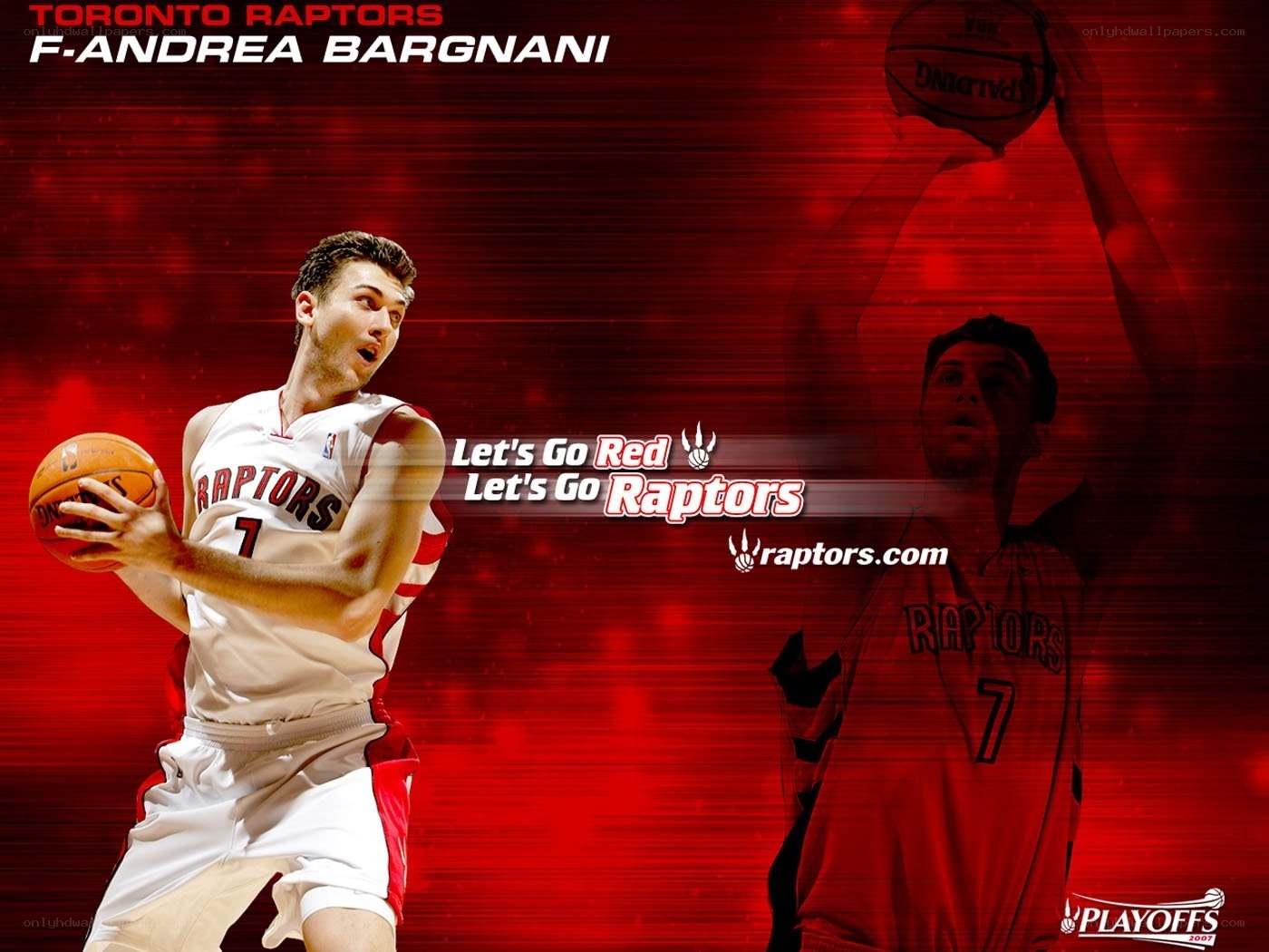 Fernando Bargnani Raptors