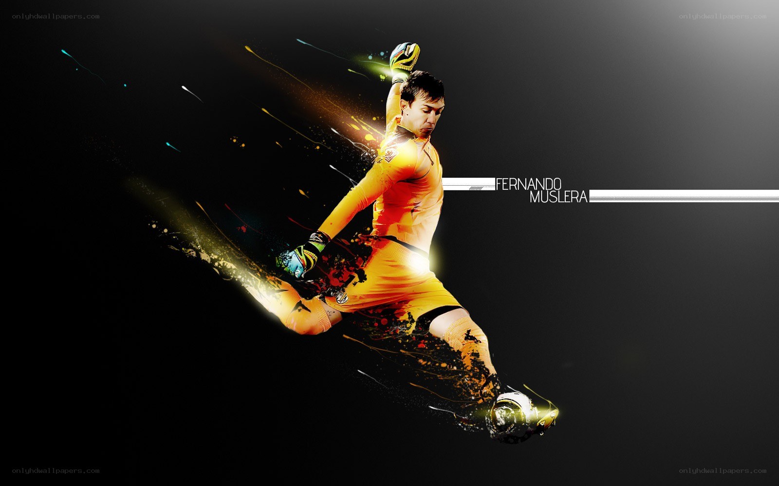 Fernando Muslera in action