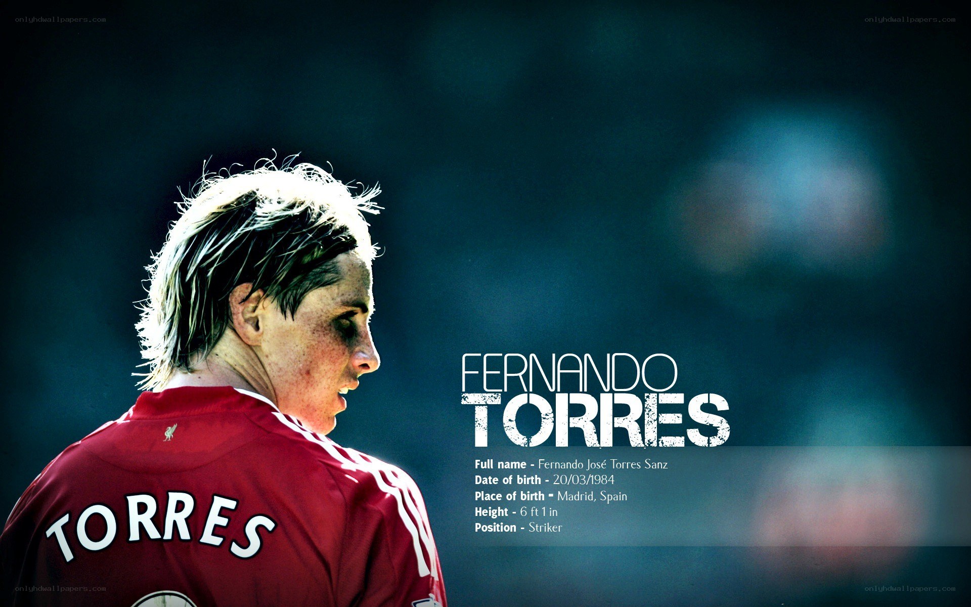 Fernando Torres football player
