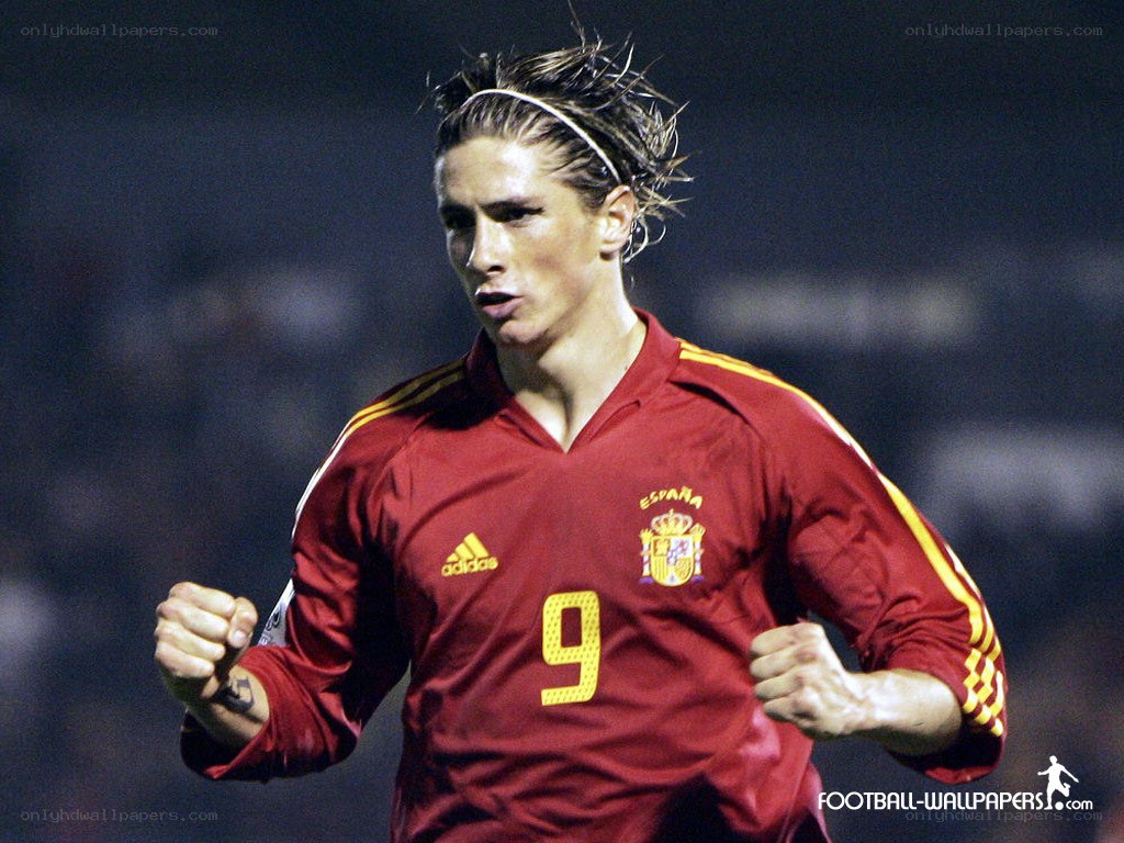 Fernando Torres in Spain jersey