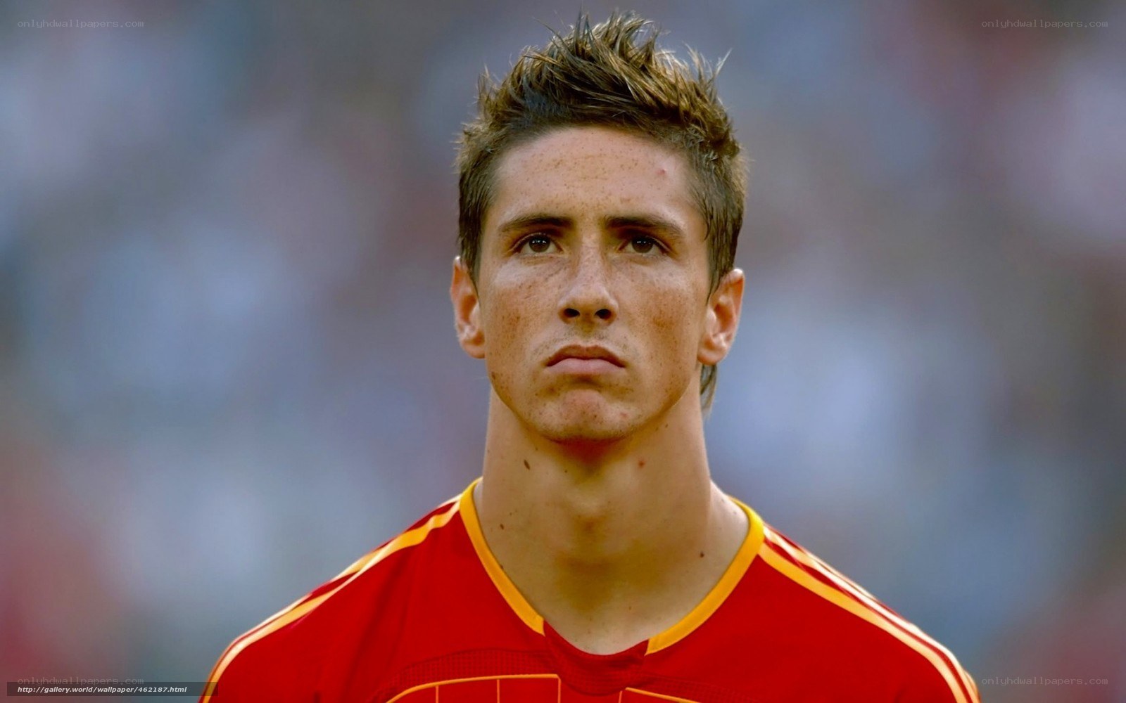 Fernando Torres in Spain jersey