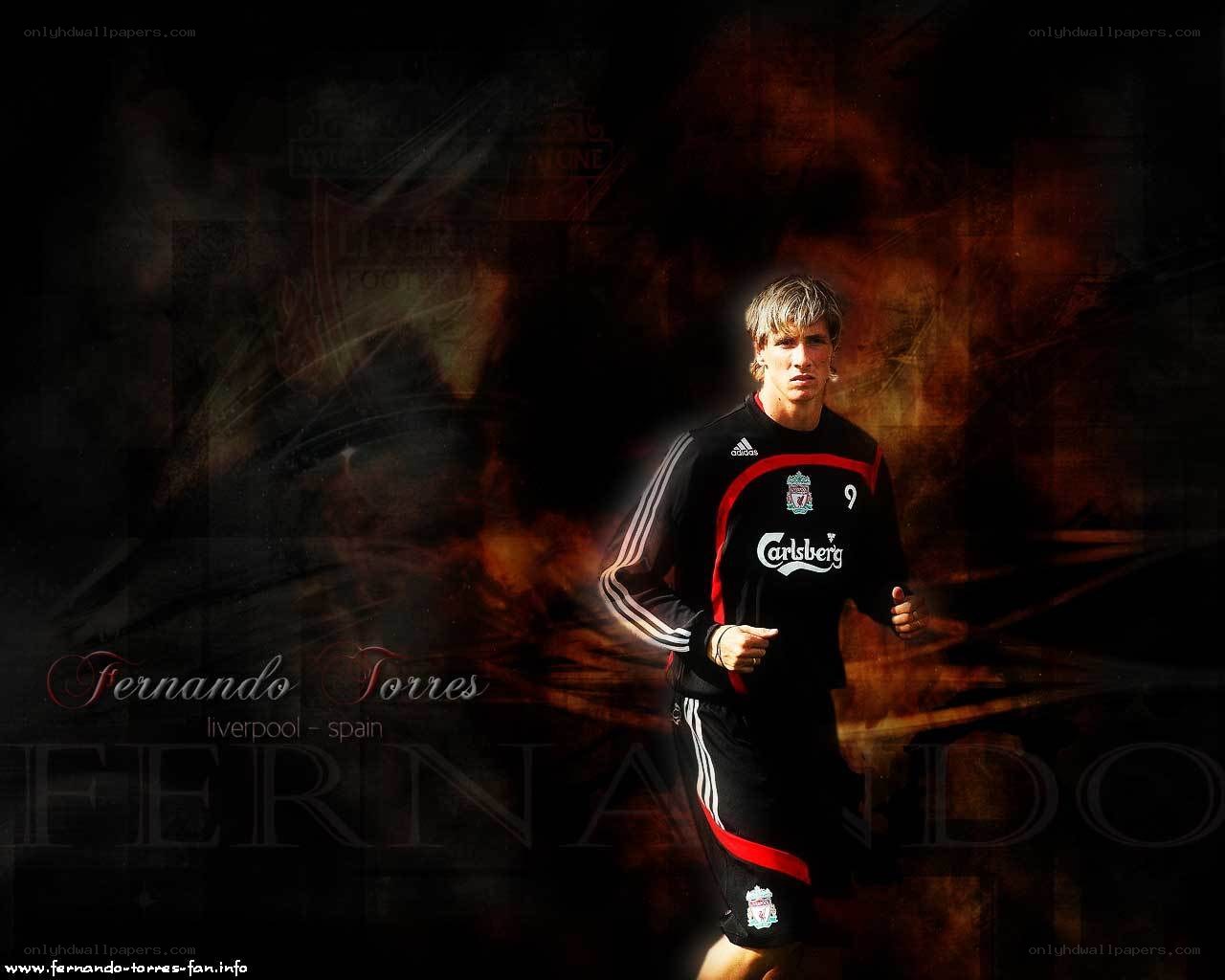Fernando Torres Liverpool player