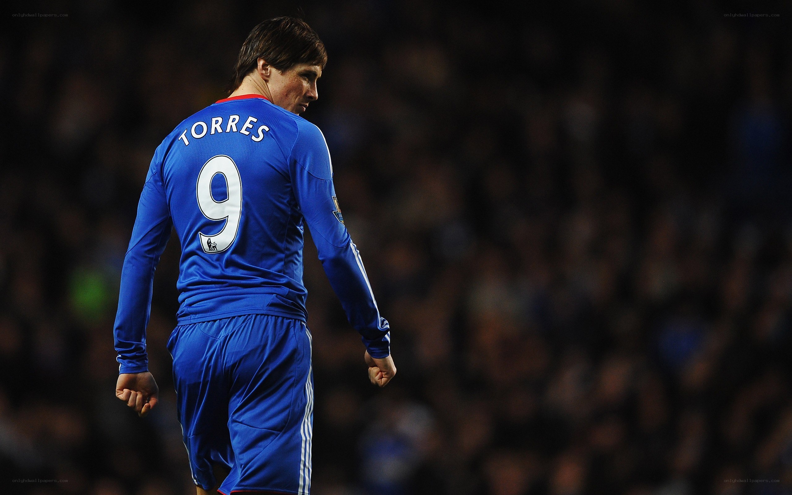 Fernando Torres on the field