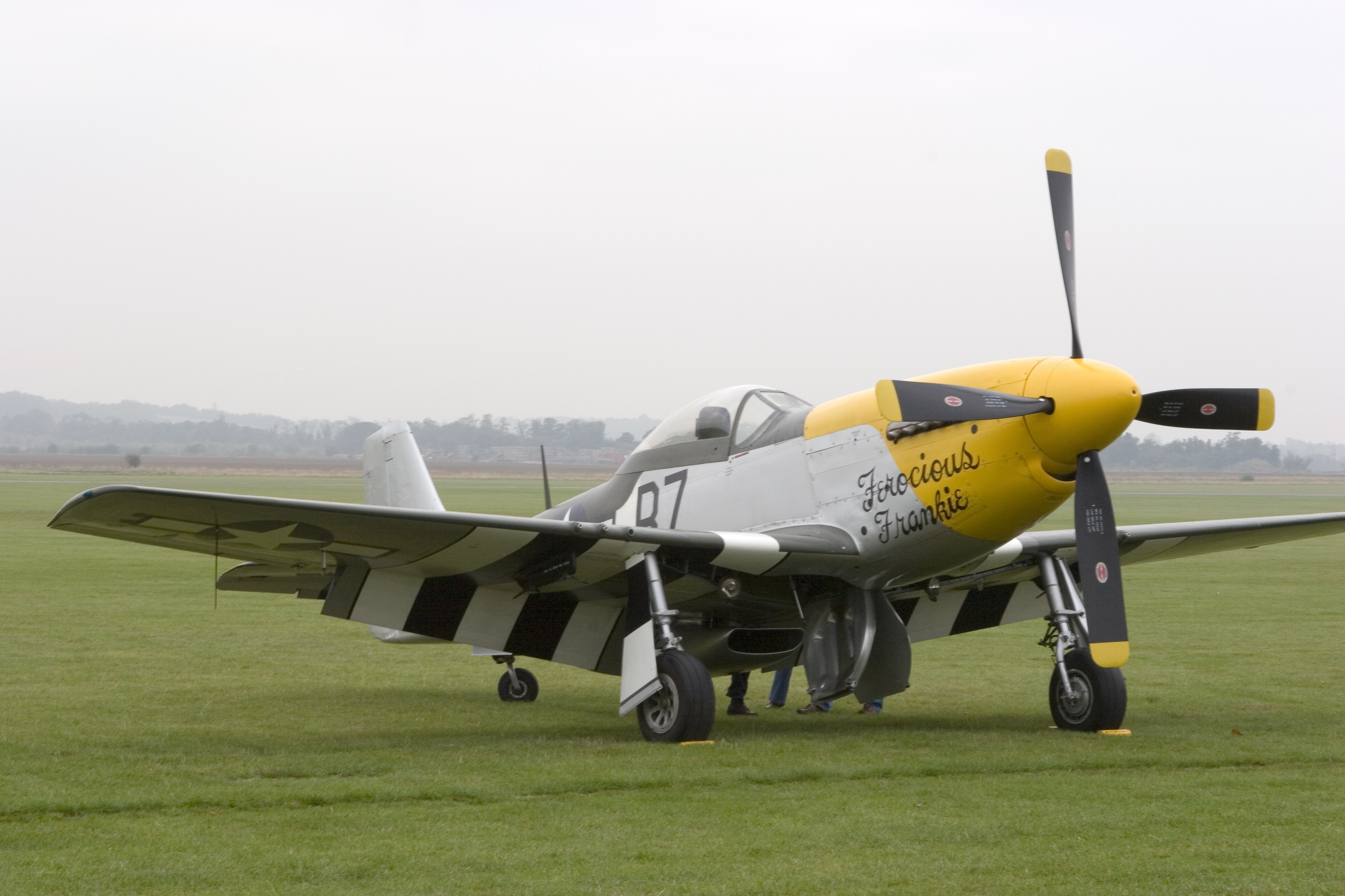 Ferocious Frankie P-51 Mustang