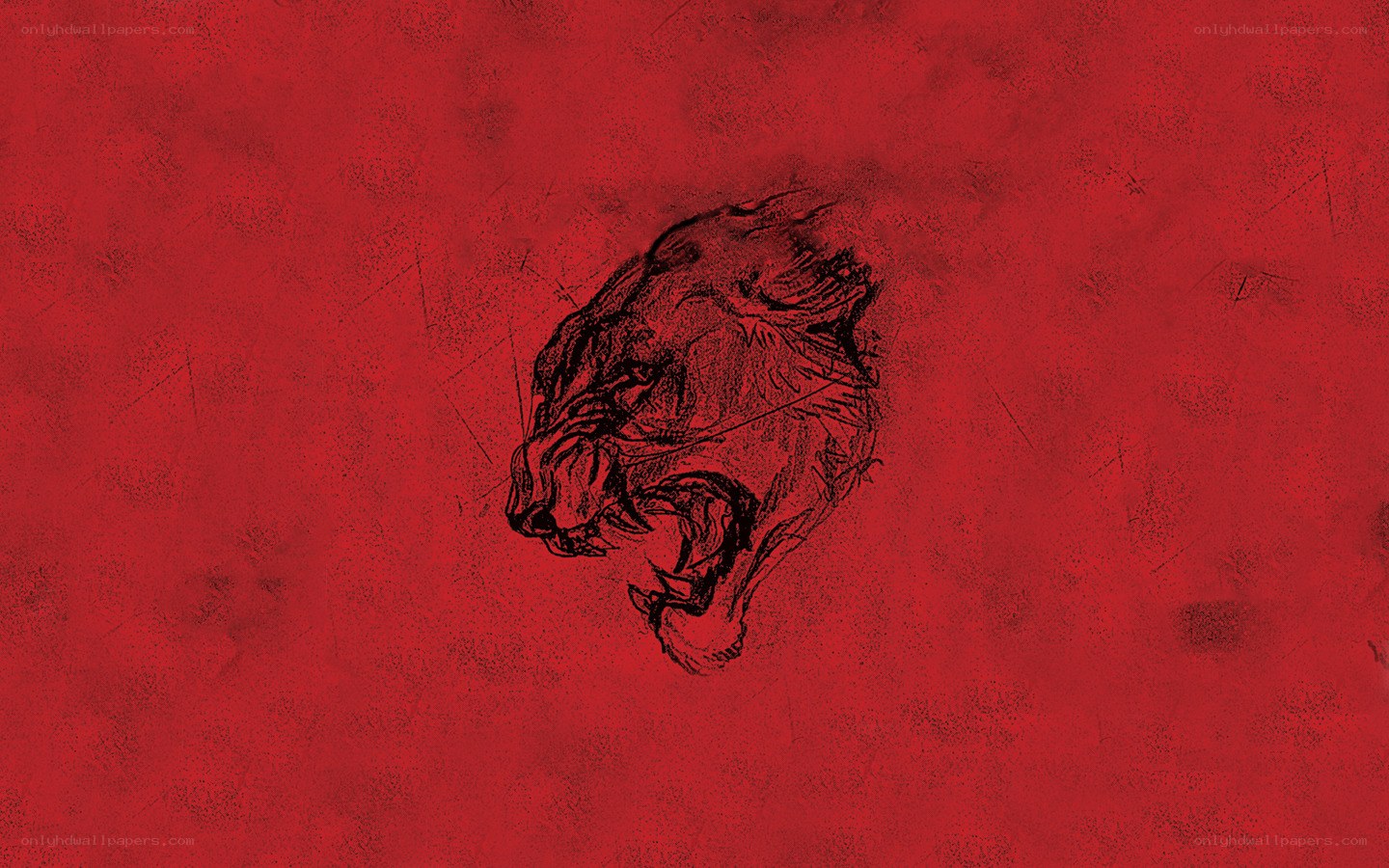 ferocious lion sketch
