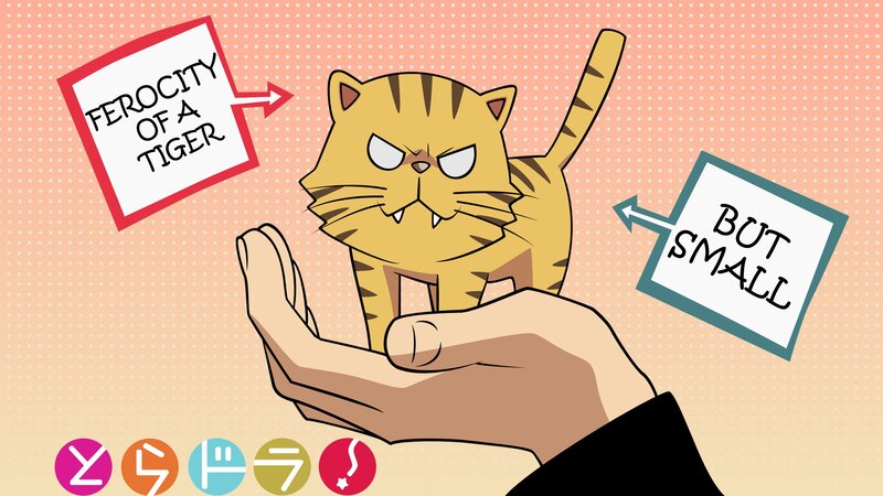 Ferocity of a Tiger Cat