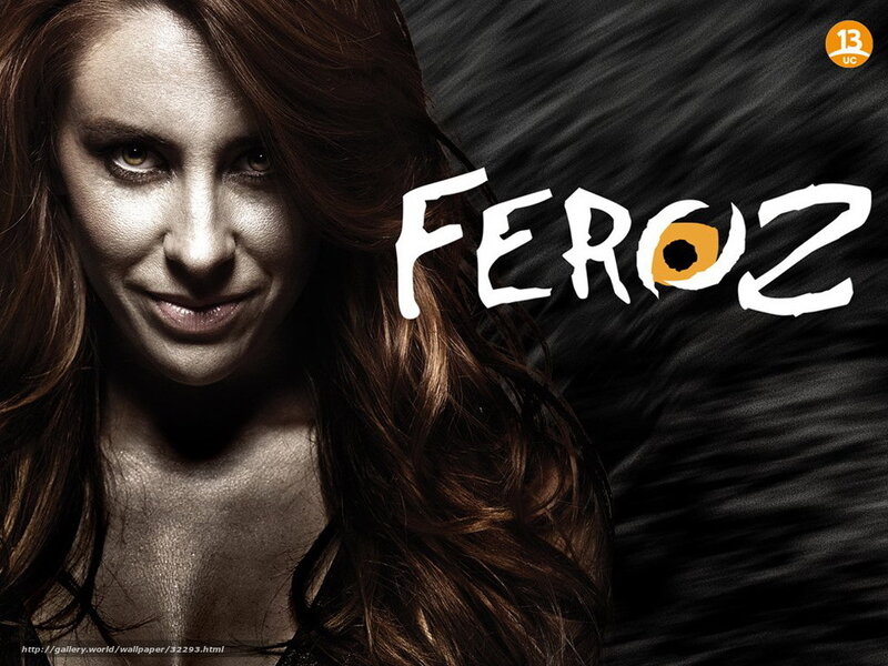 Feroz promotional poster