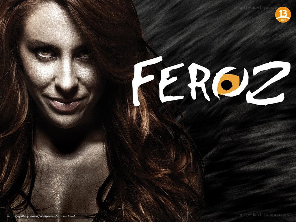 Feroz promotional poster