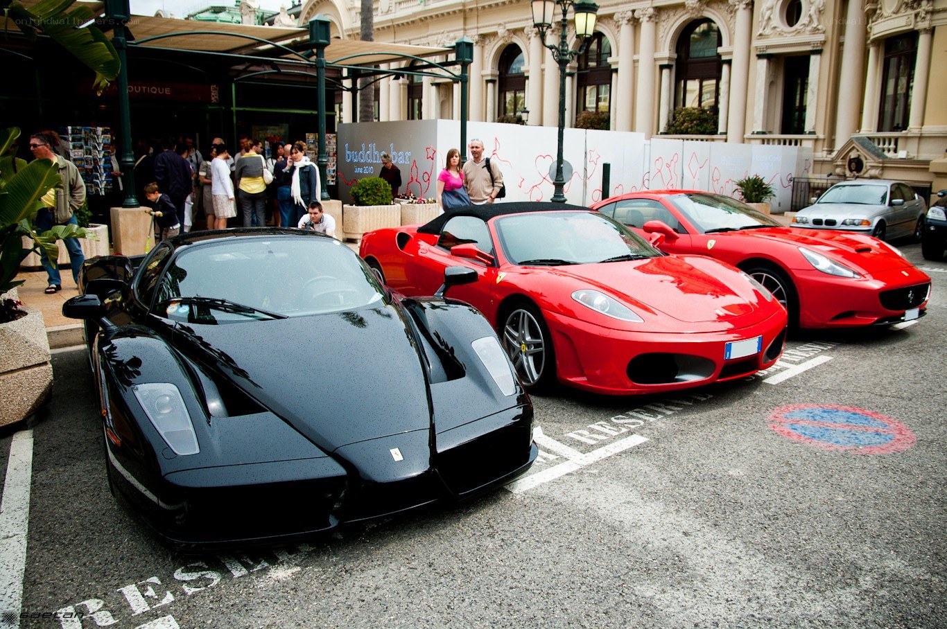 Ferrari and Enzo display