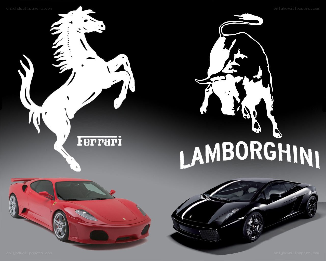 Ferrari and Lamborghini logos